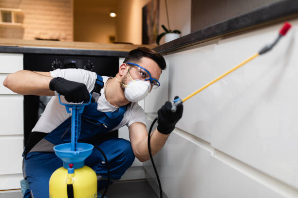 Best Affordable Pest Control Services  in Dunnavant, AL