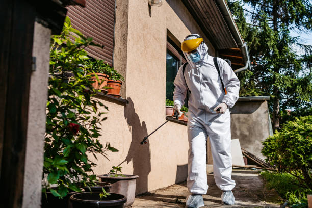 Best Insect Control  in Dunnavant, AL