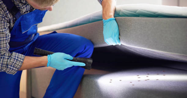 Best Best Pest Control Companies  in Dunnavant, AL